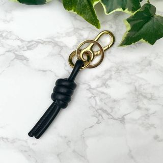 LOEWE ロエベ　レザーチャーム　エレファント　キーリング　金×水色