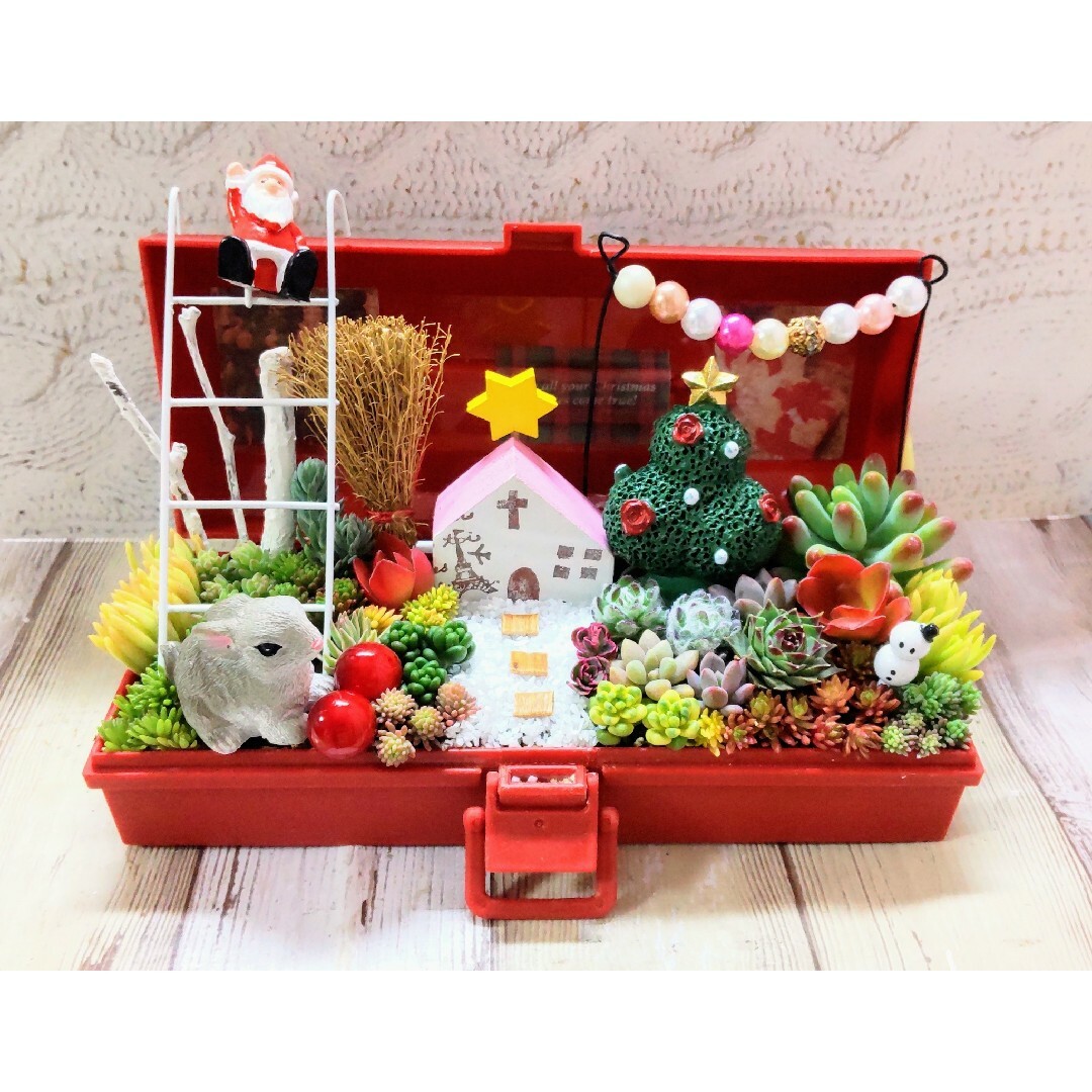 多肉植物の寄せ植え♡あわてんぼうのサンタクロース♡そのまま飾れるXmas飾り