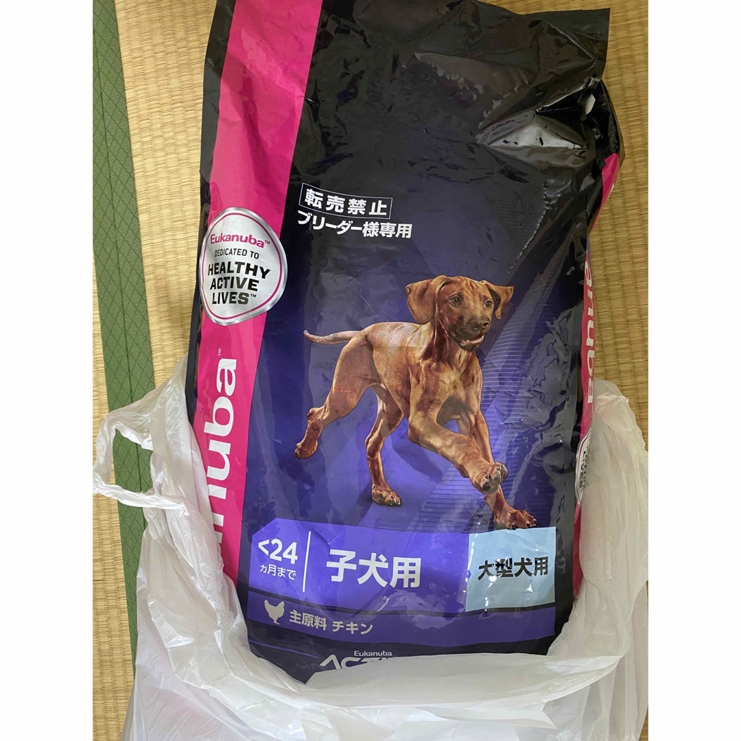 eukanubaラ-ジ　パビ- 子犬用 その他のペット用品(犬)の商品写真