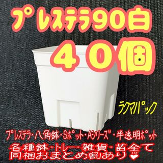 【スリット鉢】プレステラ90白40個 多肉植物 プラ鉢-ラクマパック-(プランター)