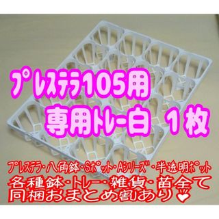 【専用システムトレー：白】スリット鉢プレステラ105用プラ鉢多肉植物(プランター)