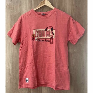 チャムス(CHUMS)のCHUMS チャムス 半袖 Tシャツ ピンク系 Mサイズ カットソー(Tシャツ/カットソー(半袖/袖なし))