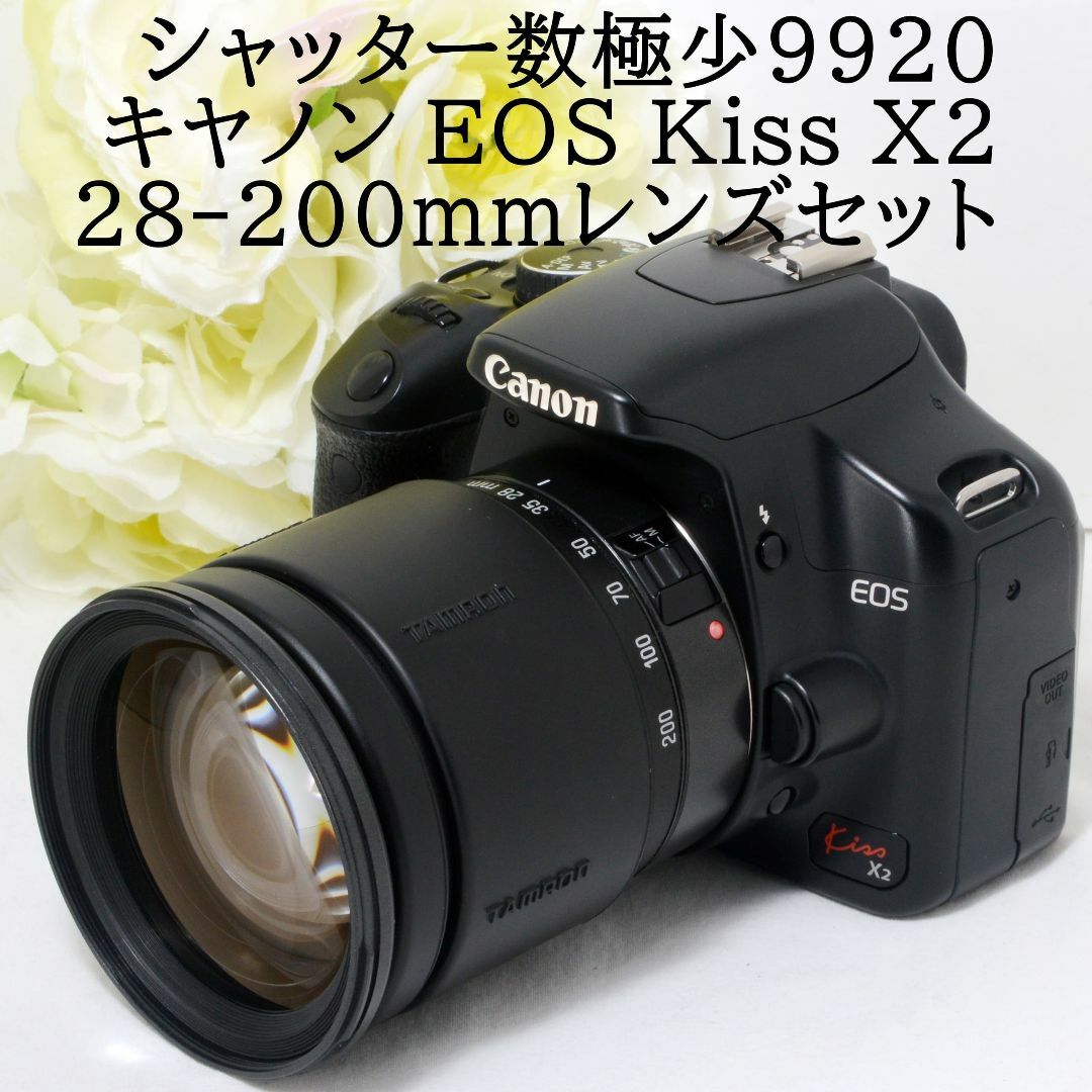 ★新品級★ キヤノン Canon EOS M100 シャッター数50