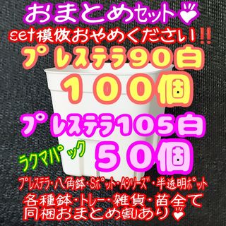 【スリット鉢】プレステラ90白100個・105白50個 多肉植物 プラ鉢(プランター)