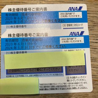 エーエヌエー(ゼンニッポンクウユ)(ANA(全日本空輸))のANA 株主優待券 2枚(航空券)