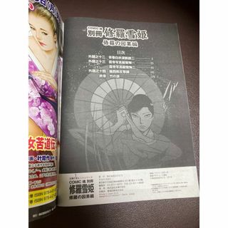 送料無料 修羅雪姫 修羅の因果編 上村一夫/小池一夫 最終回と結末 送料無料 修羅雪姫 修羅の因果編 上村一夫/小池一夫 最終回と結末