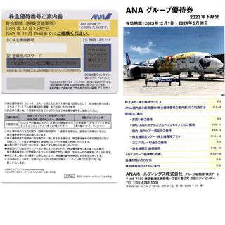 エーエヌエー(ゼンニッポンクウユ)(ANA(全日本空輸))のANA 株主優待券 1枚  /  グループ優待券 1冊(航空券)