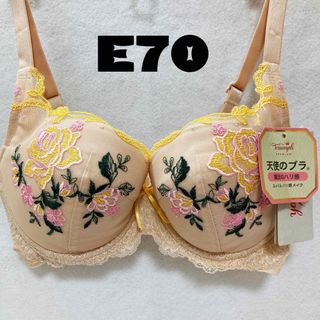 トリンプ(Triumph)のE70 トリンププレミアム レッドレーベル  ブラジャー （ベージュ）(ブラ)