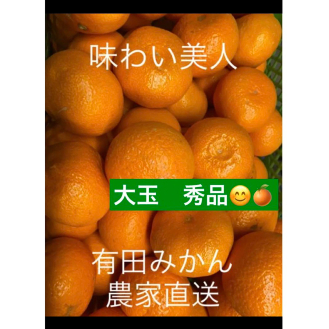 有田みかん農家直送ブランド味わい美人　大玉秀品箱込み5キロ 食品/飲料/酒の食品(フルーツ)の商品写真