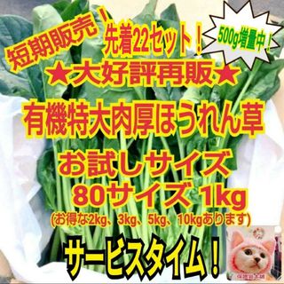 限定特価22セット残⑲★特大肉厚ほうれん草増量1.5Kg(野菜)