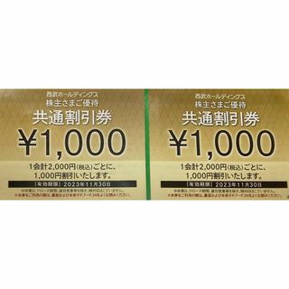 2枚 西武ホールディングス 共通割引券 優待 23/11/30 ネコポス超速発送(その他)