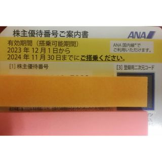 エーエヌエー(ゼンニッポンクウユ)(ANA(全日本空輸))のANA株主優待券1枚(航空券)