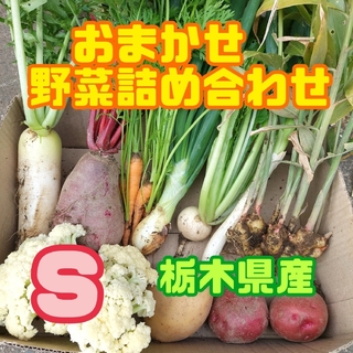 数量限定‼️おまかせ野菜詰め合わせ【コンパクトBOX】(野菜)