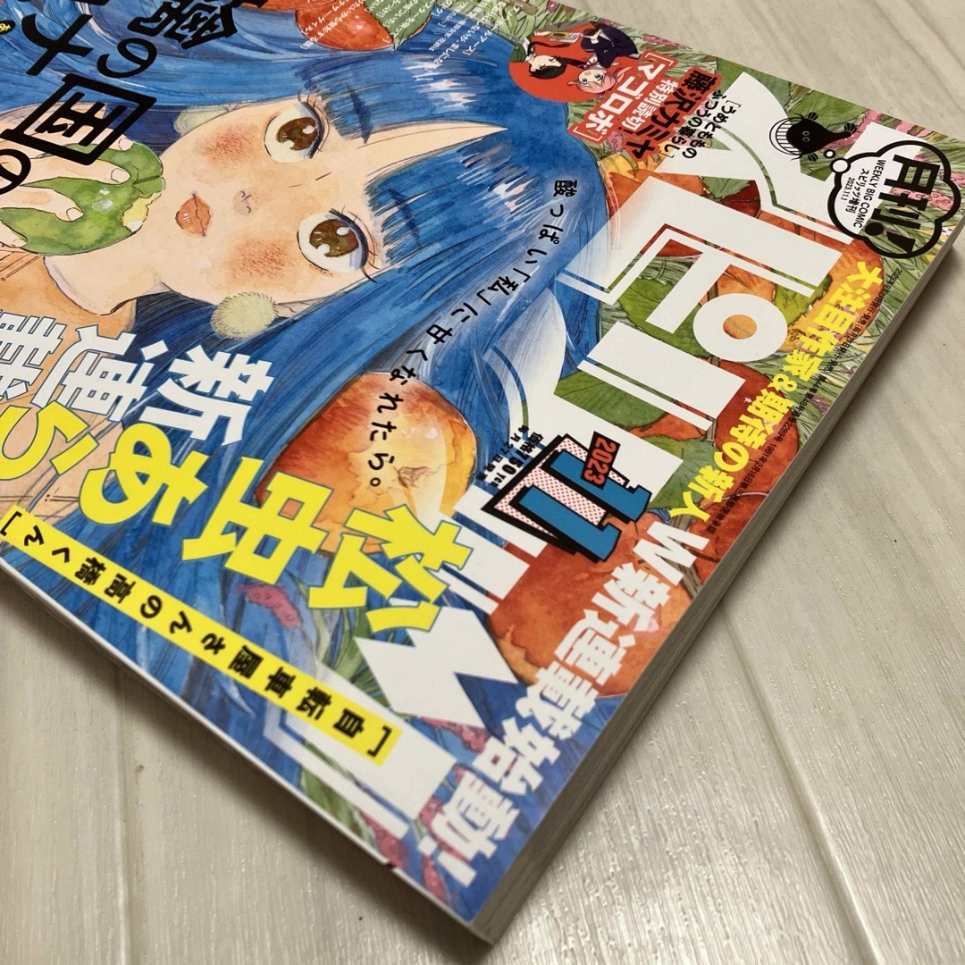 月刊スピリッツ　2023年11月号　松虫あられ エンタメ/ホビーの漫画(漫画雑誌)の商品写真