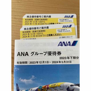 ANA 株主優待2枚(その他)