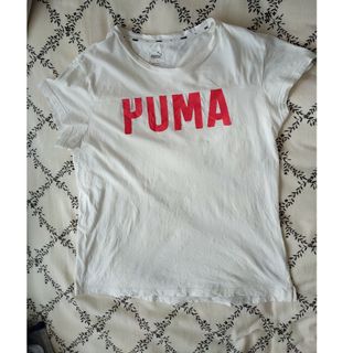 プーマ(PUMA)の◎美品 PUMA レディース Tシャツ(Tシャツ(半袖/袖なし))