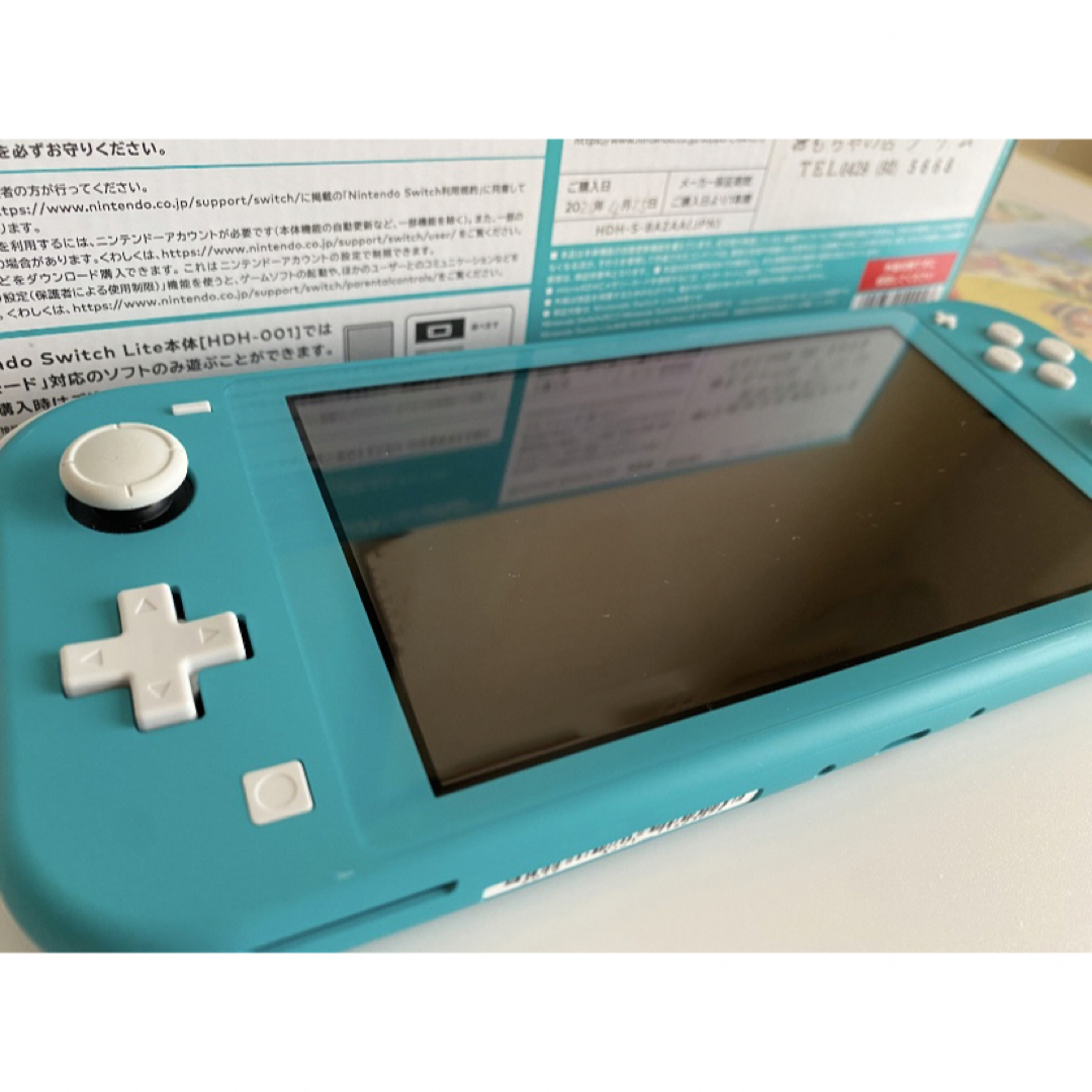 Nintendo Switch - 任天堂 Nintendo Switch Lite あつまれどうぶつの森 ...