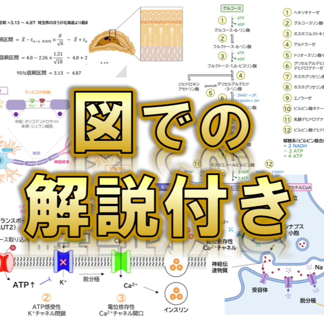 【筑波大学】2024〜2021年度 解答解説 医学部学士編入