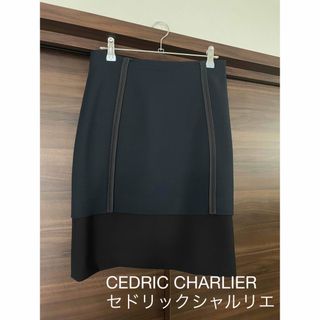 ドゥロワー(Drawer)の美品　CEDRIC CHARLIER セドリックシャルリエ　スカート(ひざ丈スカート)