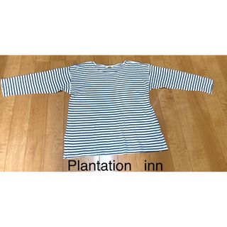 イッセイミヤケ　プランテーション　イン　Tシャツ(Tシャツ(長袖/七分))