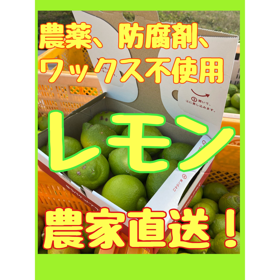 瀬戸内レモン　農家直送　無農薬　グリーンレモン　防腐剤除草剤不使用　国産レモン　 食品/飲料/酒の食品(フルーツ)の商品写真