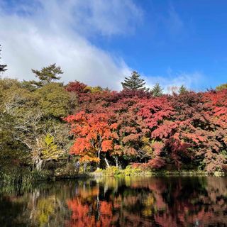 よしいくぞ様4(その他)