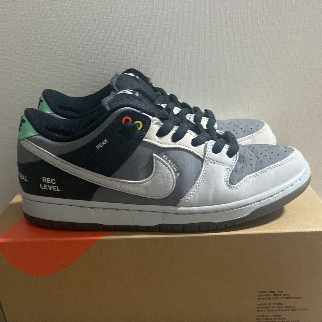 NIKE SB DUNK LOW CAMCORDER