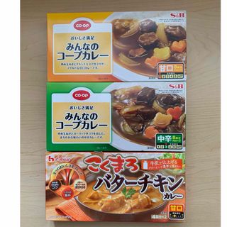 エルビーショクヒン(エスビー食品)のカレールー　3セット(調味料)