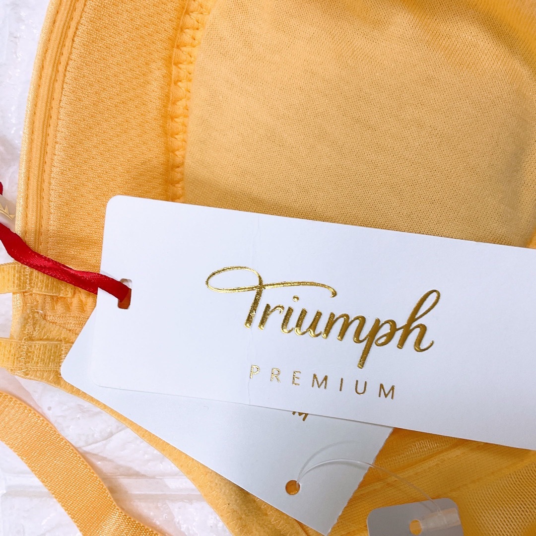 Triumph(トリンプ)のトリンプ　プレミアム　ゴールドレーベル3041 ブラジャー　D70 レディースの下着/アンダーウェア(ブラ)の商品写真