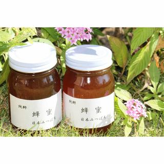 純粋 蜂蜜　日本みつばち 600g×2本(その他)