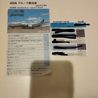 エーエヌエー(ゼンニッポンクウユ)(ANA(全日本空輸))のANA(全日空)　株主優待券　２枚(航空券)