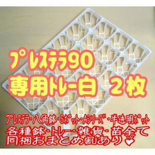 【専用システムトレー：白】2枚セット!!スリット鉢プレステラ90用プラ鉢多肉植物(プランター)