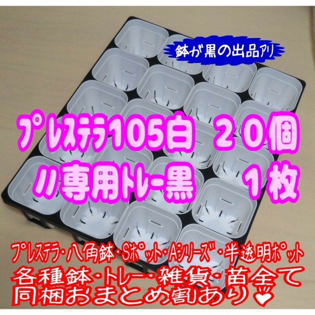 【スリット鉢】プレステラ105白20個＋専用システムトレー黒1枚 プラ鉢多肉植物 ハンドメイドのフラワー/ガーデン(プランター)の商品写真