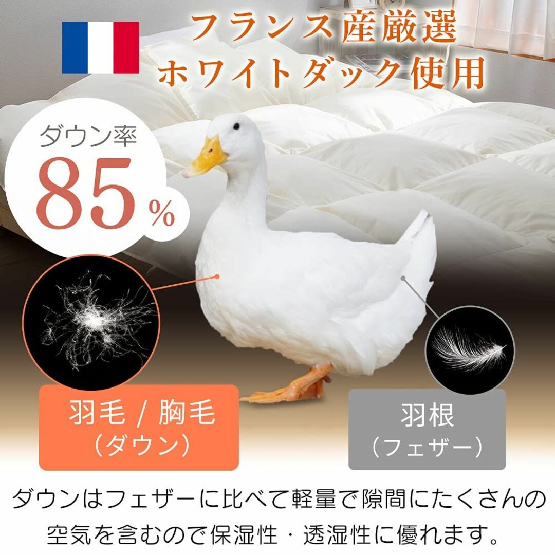 約19kg材質側生地【色: フランス産/WDD85%】アイリスプラザ 羽毛布団 シングル フランス産