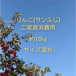 りんご(サンふじ)訳ありご家庭消費用 約10kg(フルーツ)