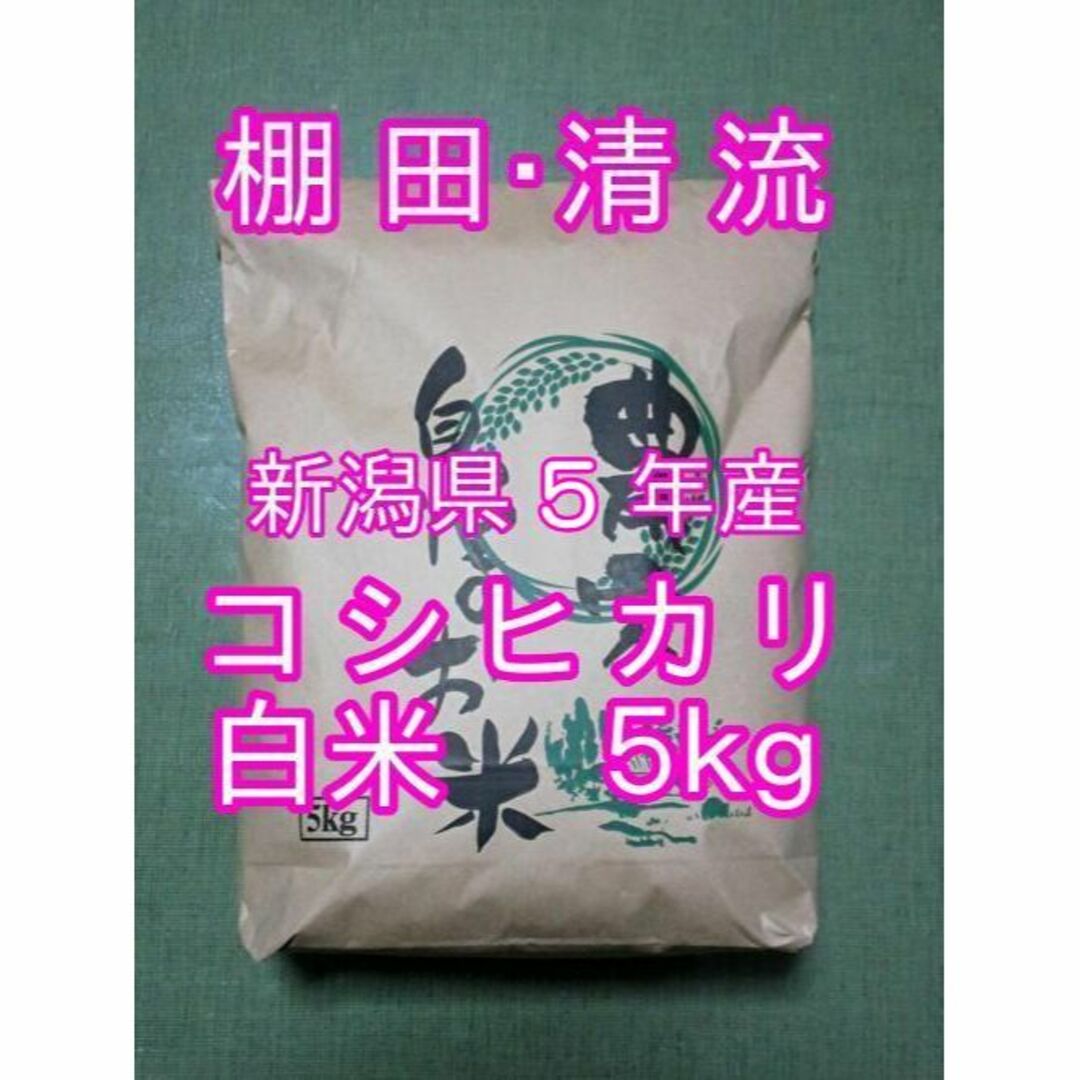 新米　5ｋｇ(5ｋｇ×１袋)　shop｜ラクマ　by　新潟県　白米　すけちゃ's　お米　米の通販　５年産　コシヒカリ