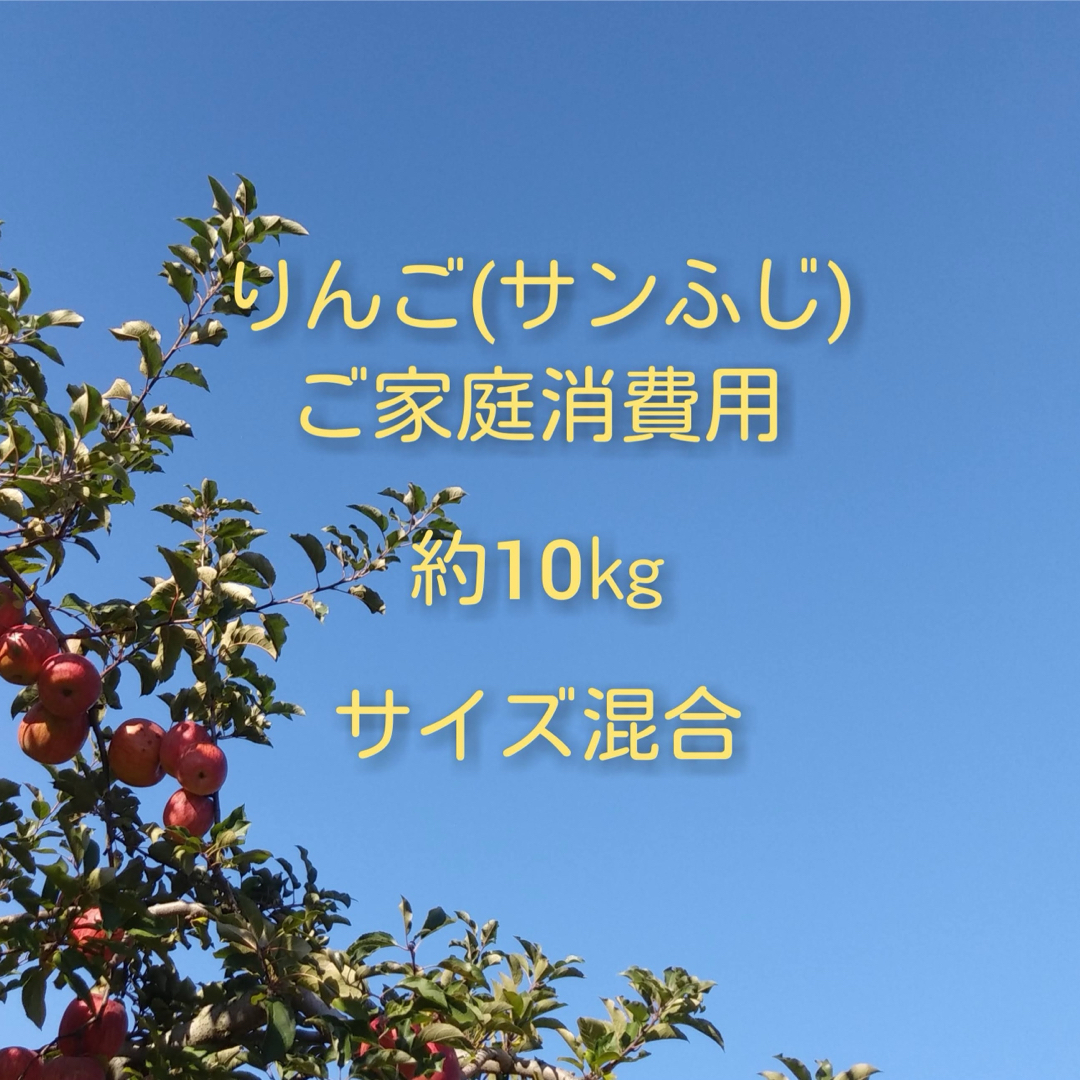 りんご(サンふじ)訳ありご家庭消費用 約10kg 食品/飲料/酒の食品(フルーツ)の商品写真