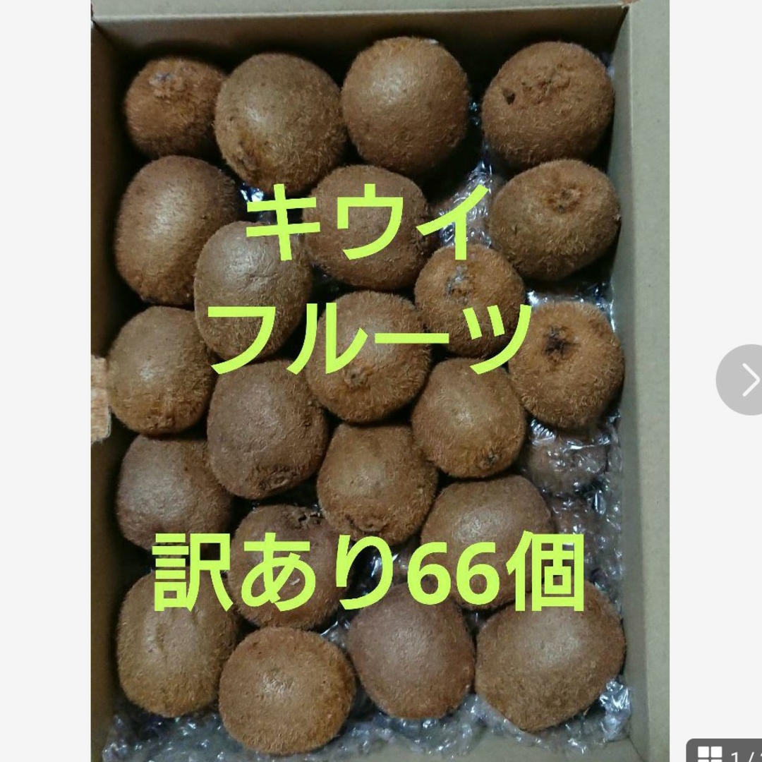 キウイフルーツ 訳あり66個 食品/飲料/酒の食品(フルーツ)の商品写真