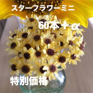 スターフラワーミニ  加工花材  ヒマワリ  60本＋α(各種パーツ)