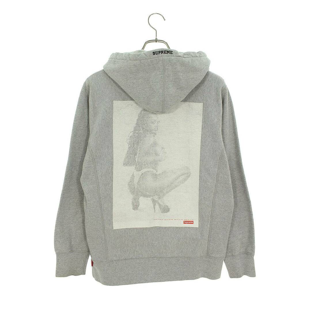 Supreme - シュプリーム 17SS Digi Hooded Sweatshirt バックプリント