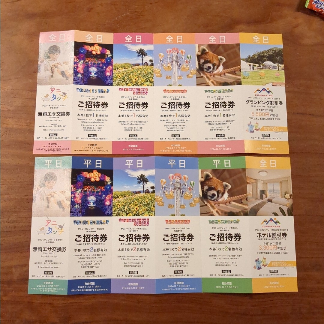伊豆　シャボテン公園　ぐらんぱる公園　グランイルミ チケットの施設利用券(遊園地/テーマパーク)の商品写真