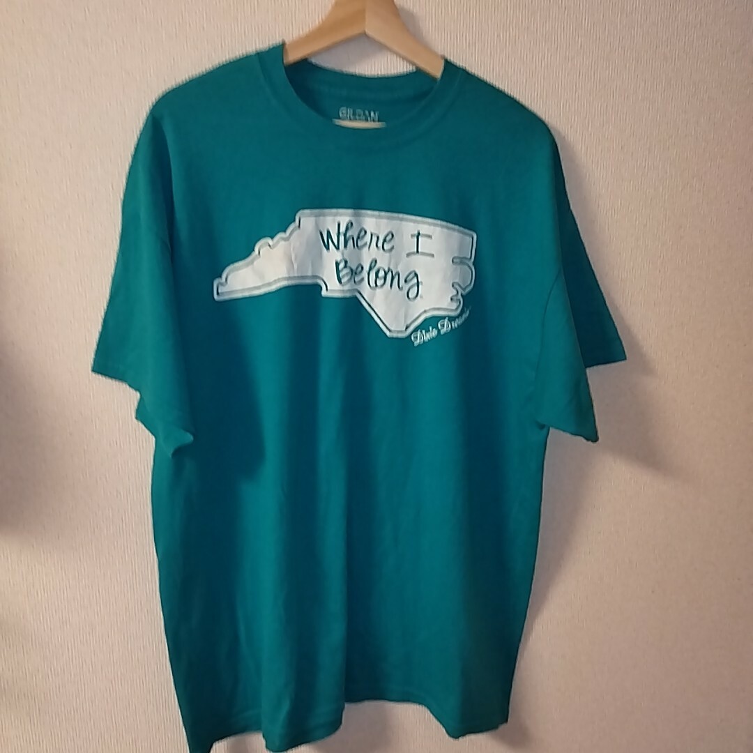 GILDAN(ギルタン)の【古着】ギルダン　Tシャツ　ブルーグリーン/XL　Dixie Dreamin メンズのトップス(Tシャツ/カットソー(半袖/袖なし))の商品写真