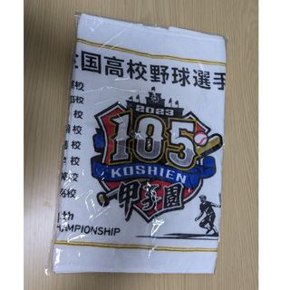 甲子園 全国高校野球選手権大会 2023年 105回 全出場校名入りタオル(記念品/関連グッズ)