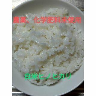 新米無農薬白米ヒノヒカリ5kg(米/穀物)