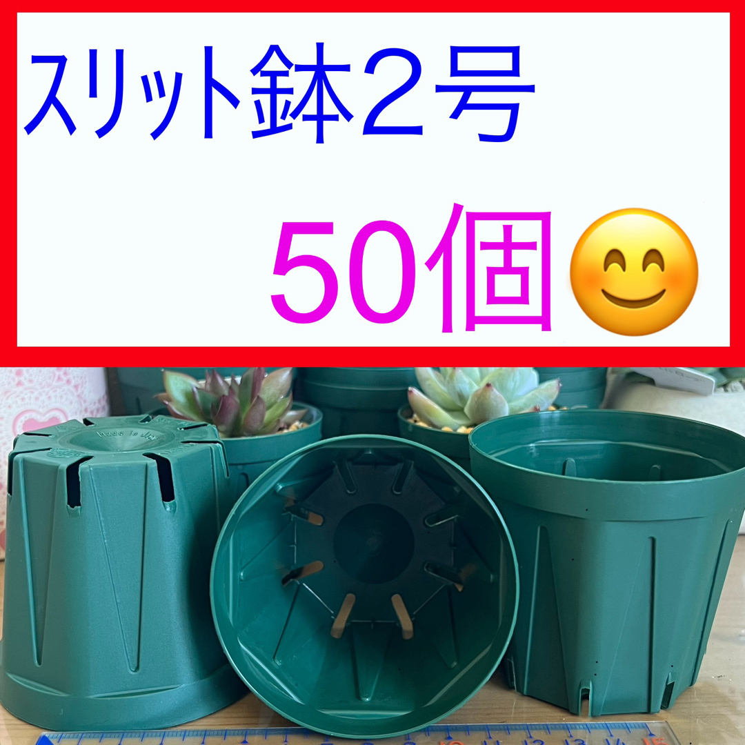 A③  ｽﾘｯﾄ鉢【2号】50個ｾｯﾄ★ﾓｽｸﾞﾘｰﾝ * ハンドメイドのフラワー/ガーデン(プランター)の商品写真