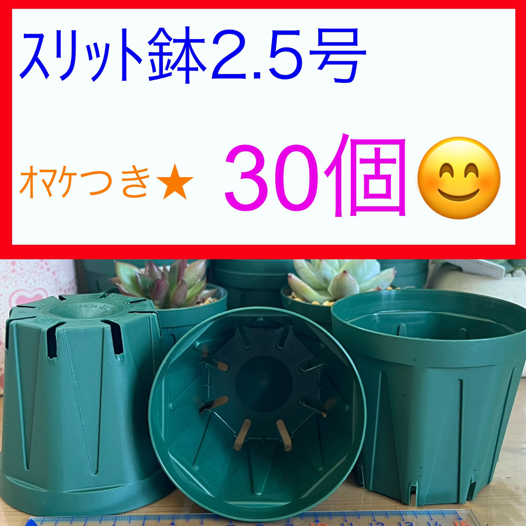A①③  ｽﾘｯﾄ鉢【2.5号】30個ｾｯﾄ★ﾓｽｸﾞﾘｰﾝ ハンドメイドのフラワー/ガーデン(プランター)の商品写真
