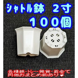 シャトル鉢【2寸】100個 プラ鉢 八角鉢 スリット鉢 プレステラ 多肉植物(プランター)