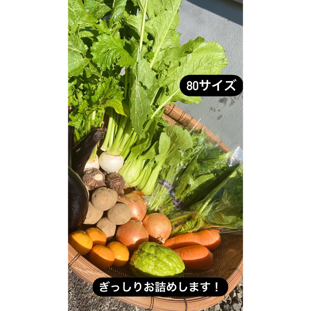 愛媛県東温農園【当日収穫・当日出荷】気まぐれお野菜詰め合わせ♪ 食品/飲料/酒の食品(野菜)の商品写真