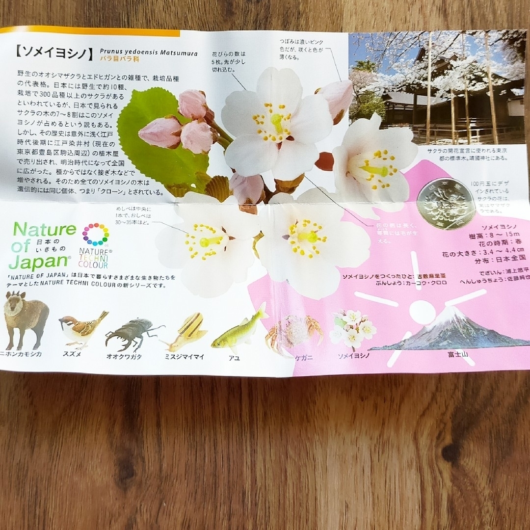 日本のいきもの 3 ネイチャーテクニカラー サクラ 桜 いきもん ガチャ エンタメ/ホビーのフィギュア(その他)の商品写真