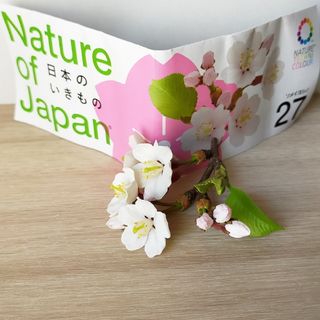 日本のいきもの 3 ネイチャーテクニカラー サクラ 桜 いきもん ガチャ(その他)